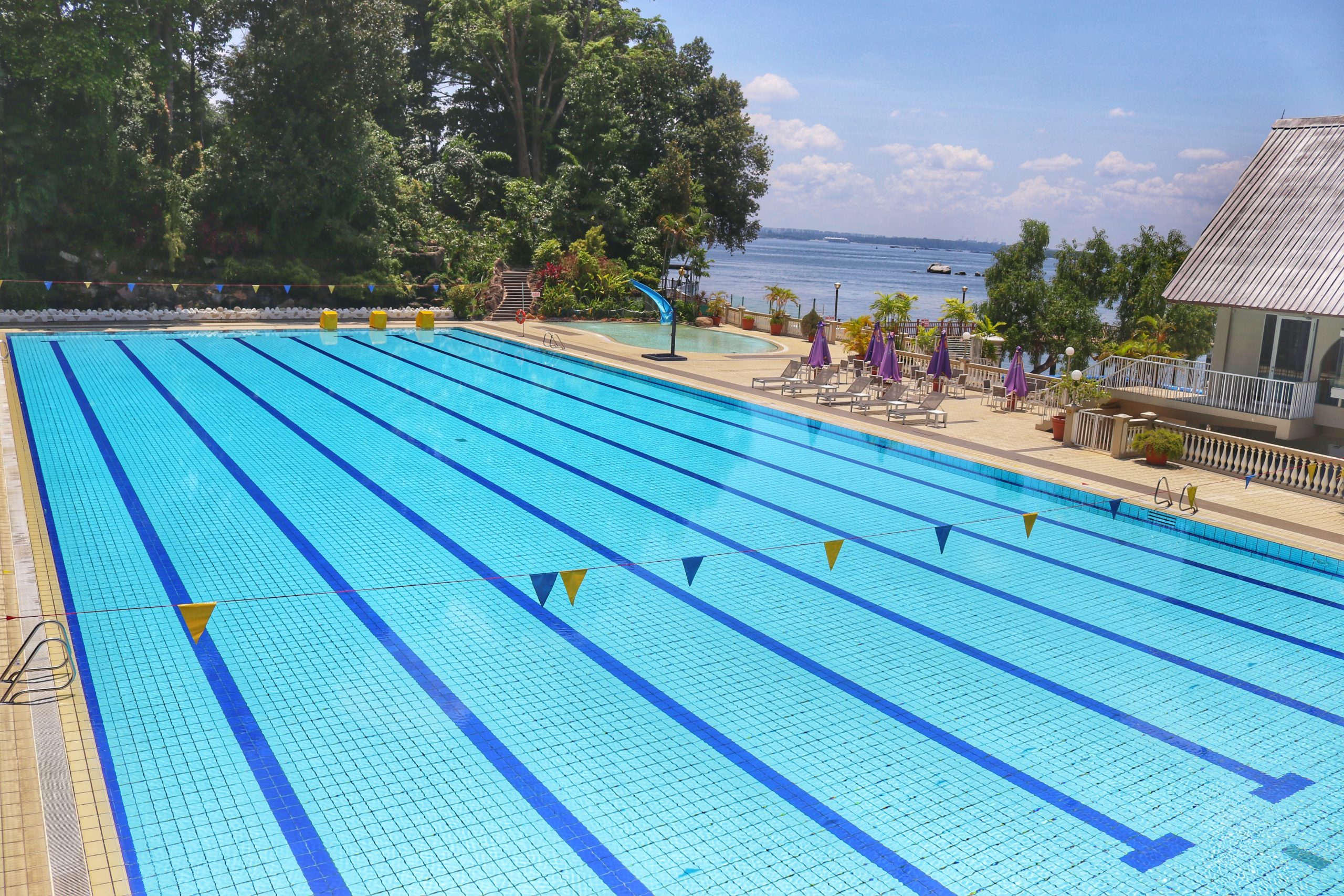50m-Pool-scaled